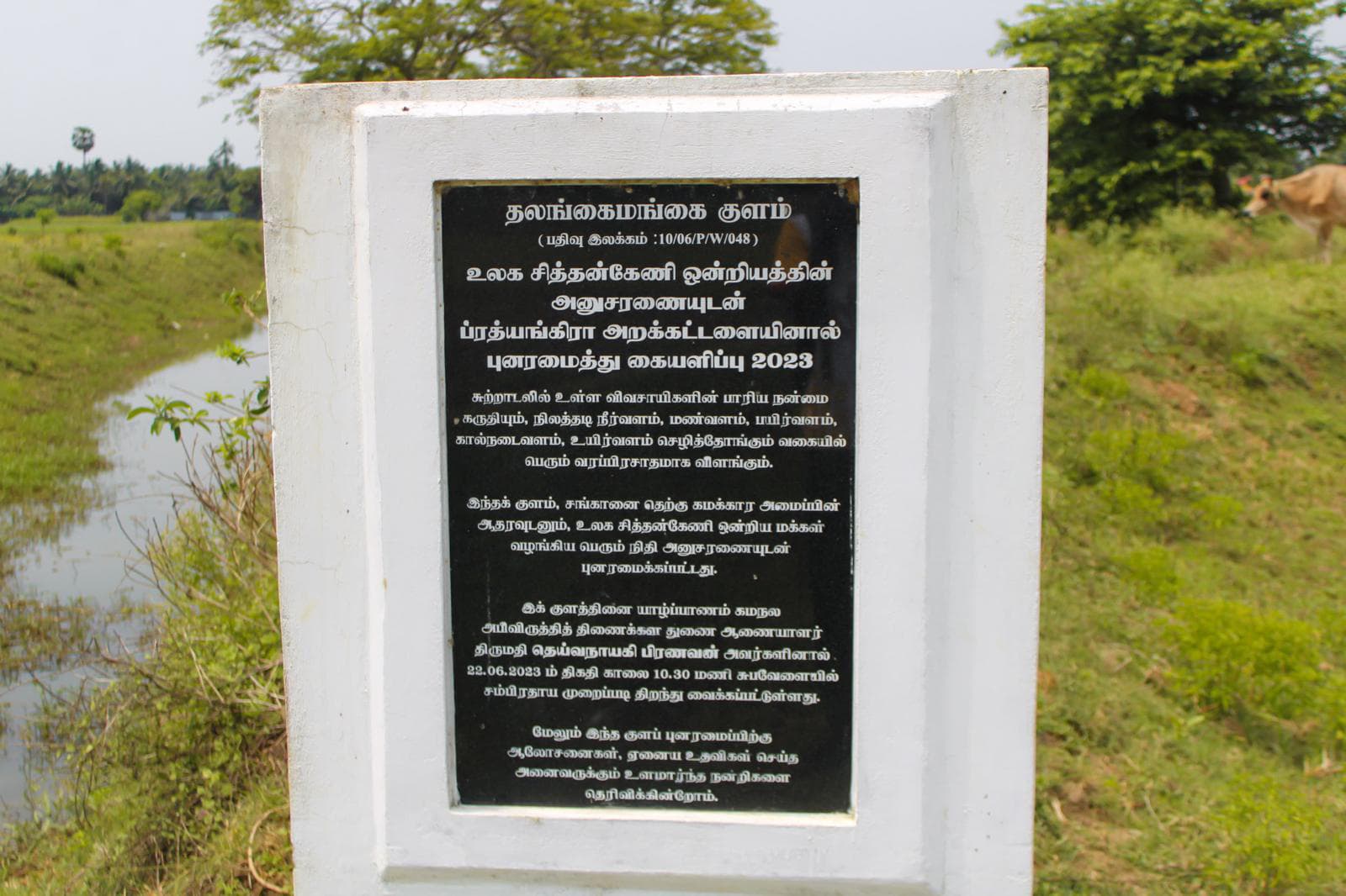துறட்டிப்பனை அம்மன் குளம் 