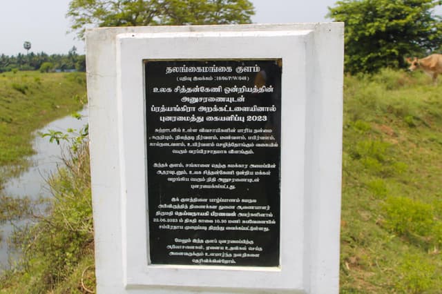 துறட்டிப்பனை அம்மன் குளம் 
