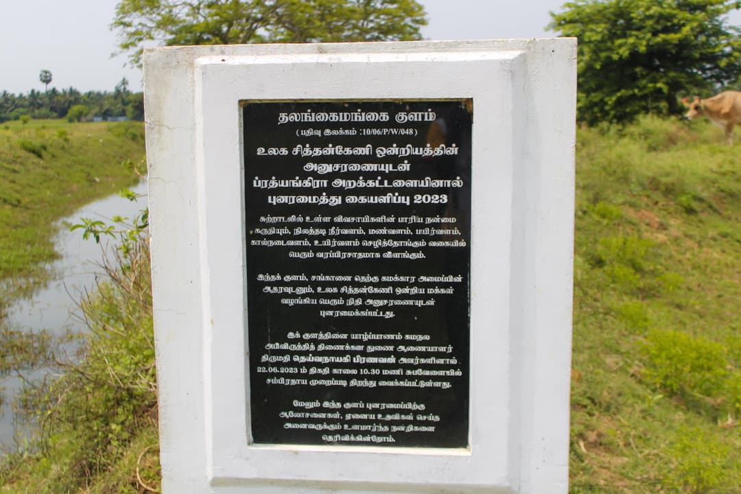 துறட்டிப்பனை அம்மன் குளம்